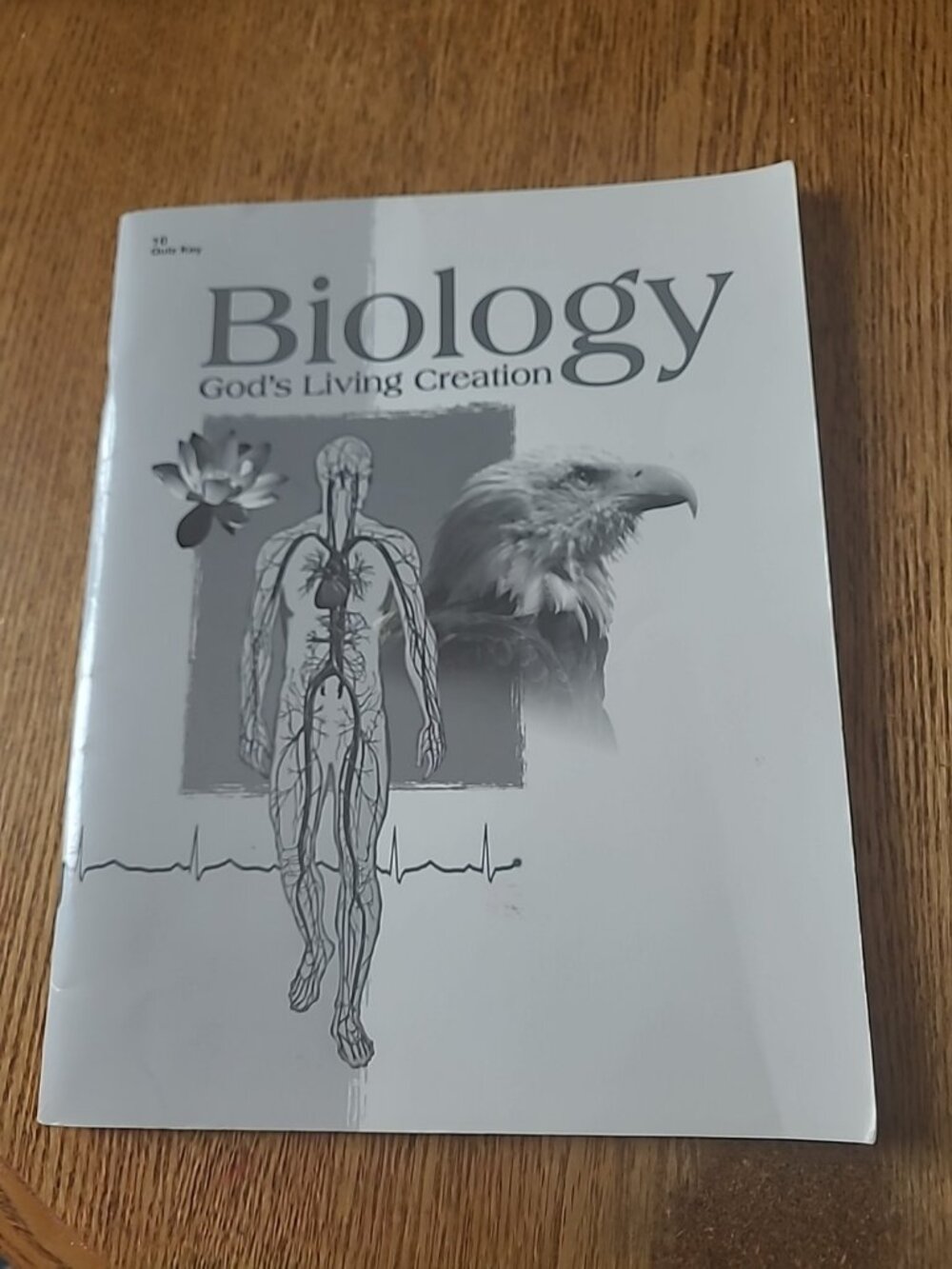 A Beka Book Biology God's Living Creation Quiz Key 10